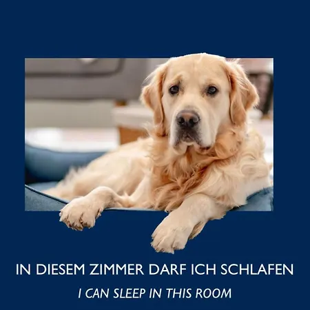 Dresden